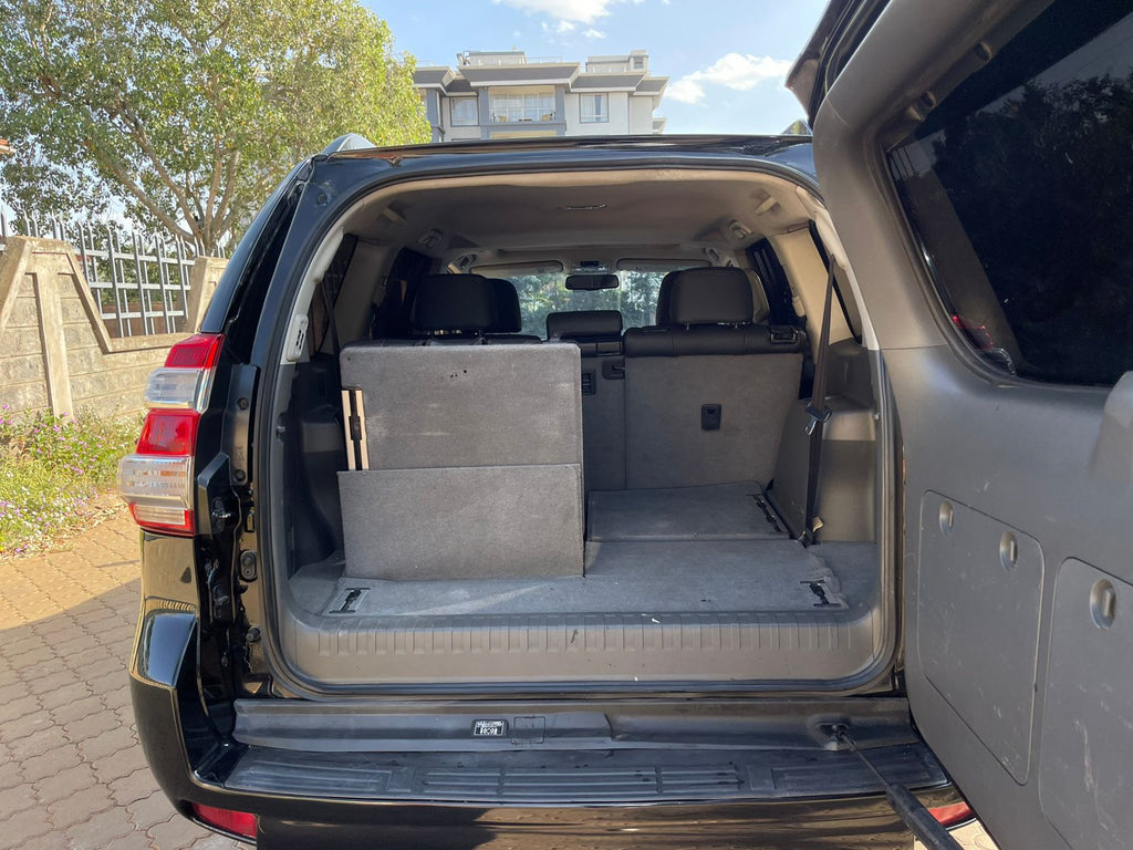 2009 TOYOTA PRADO TZG