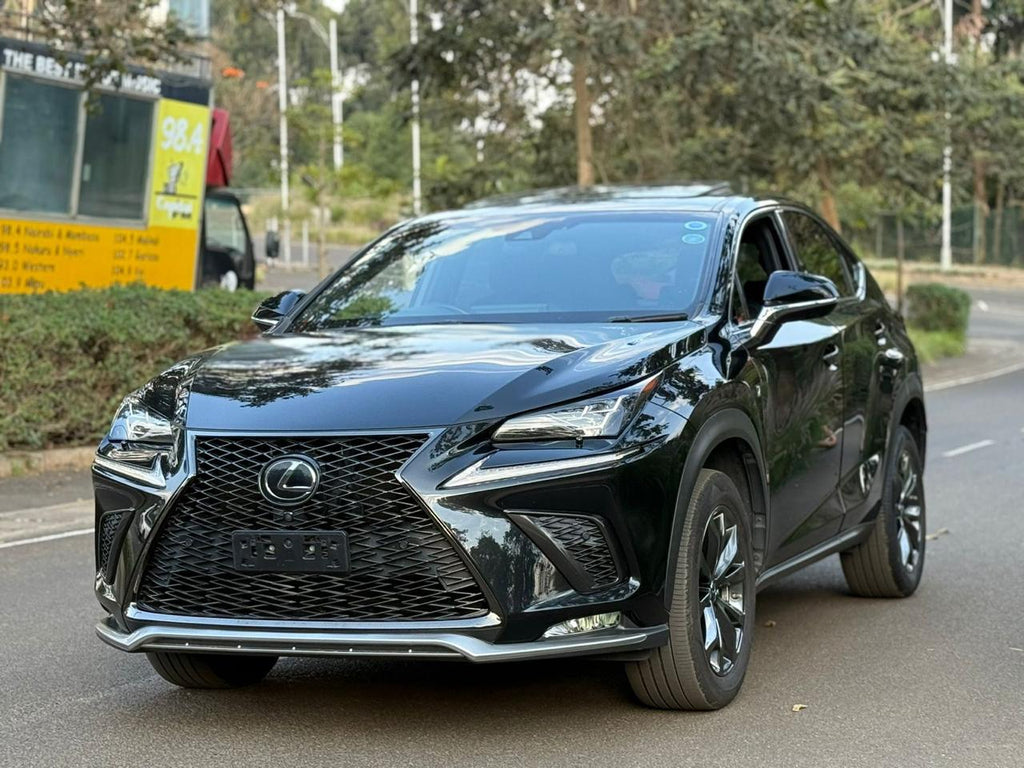 2018 LEXUS NX300 F-SPORT