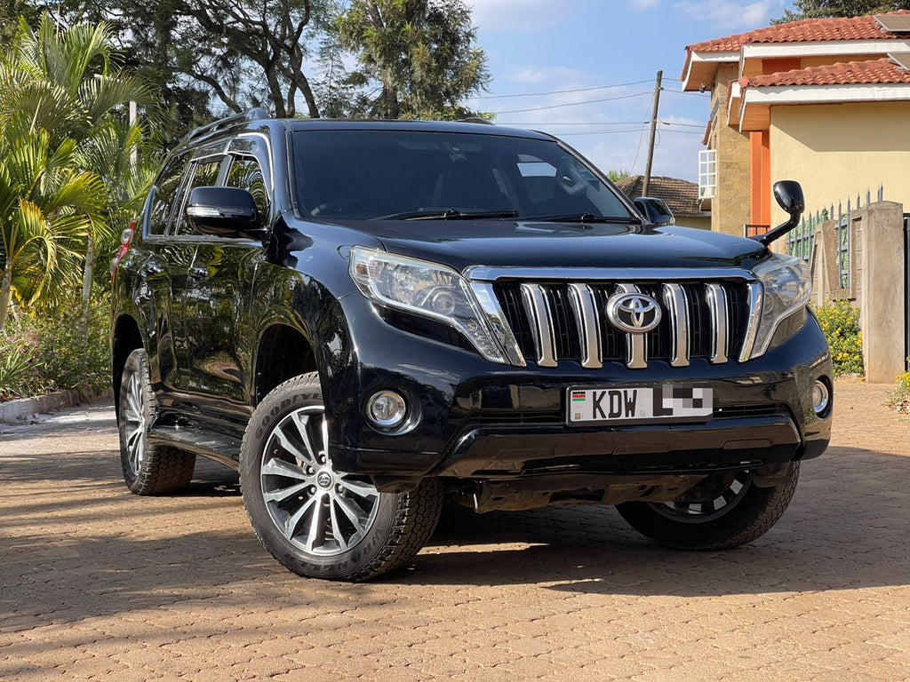 2009 TOYOTA PRADO TZG