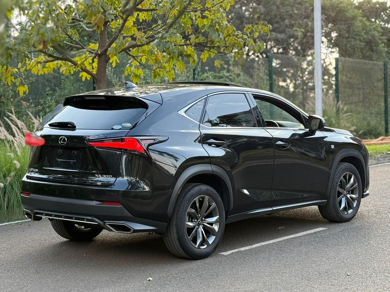 2018 LEXUS NX300 F-SPORT