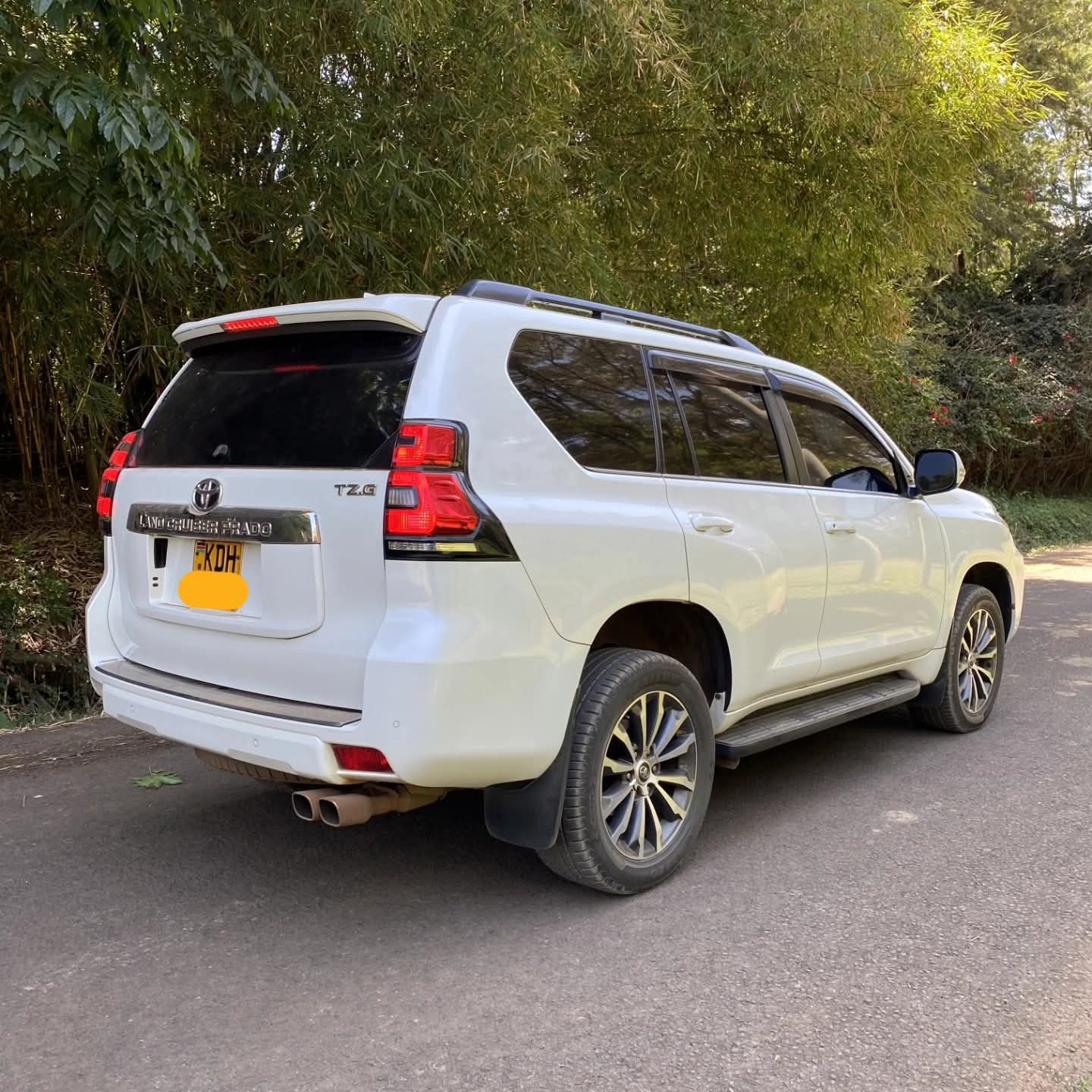 Toyota LandCruiser Prado TZG