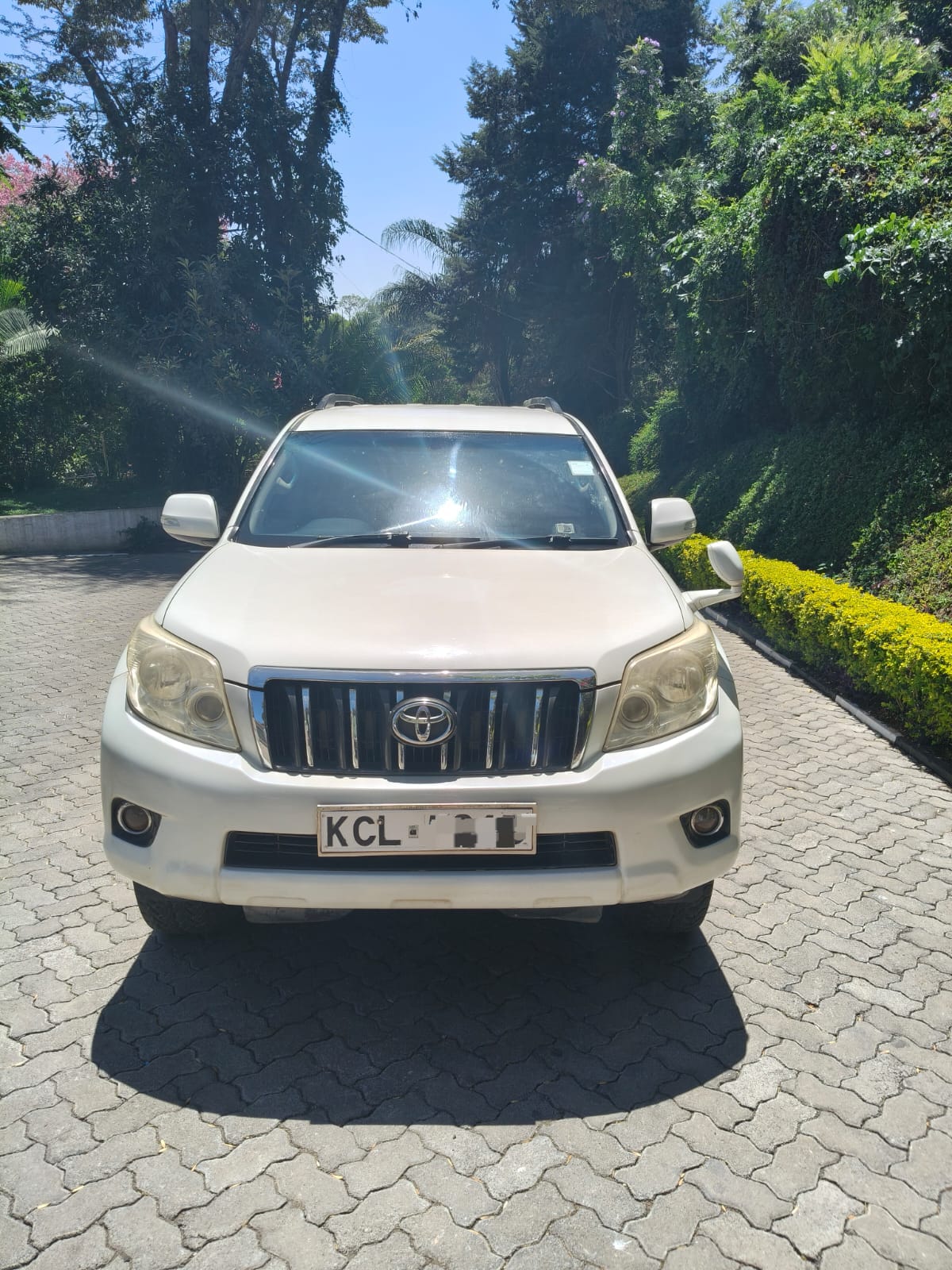 2010 TOYOTA PRADO