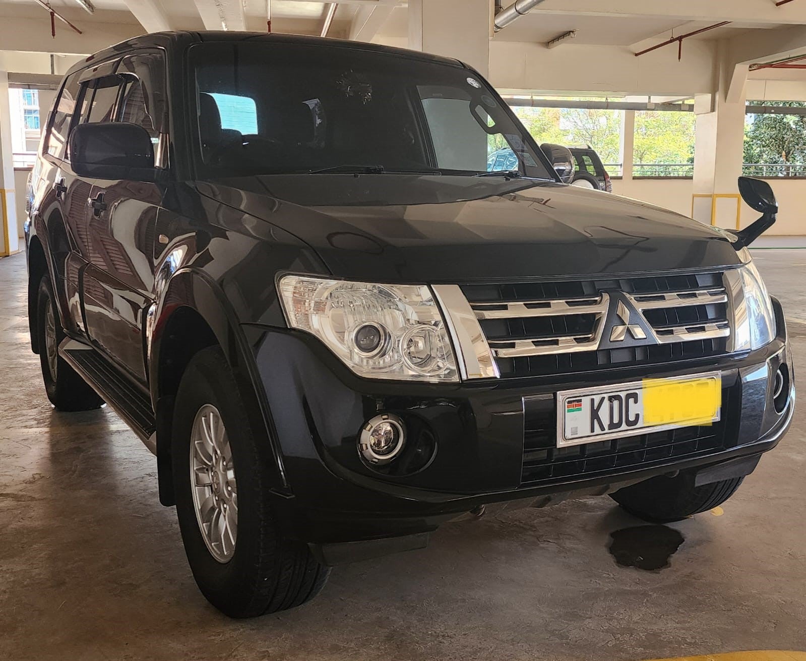 2013 Mitsubishi pajero