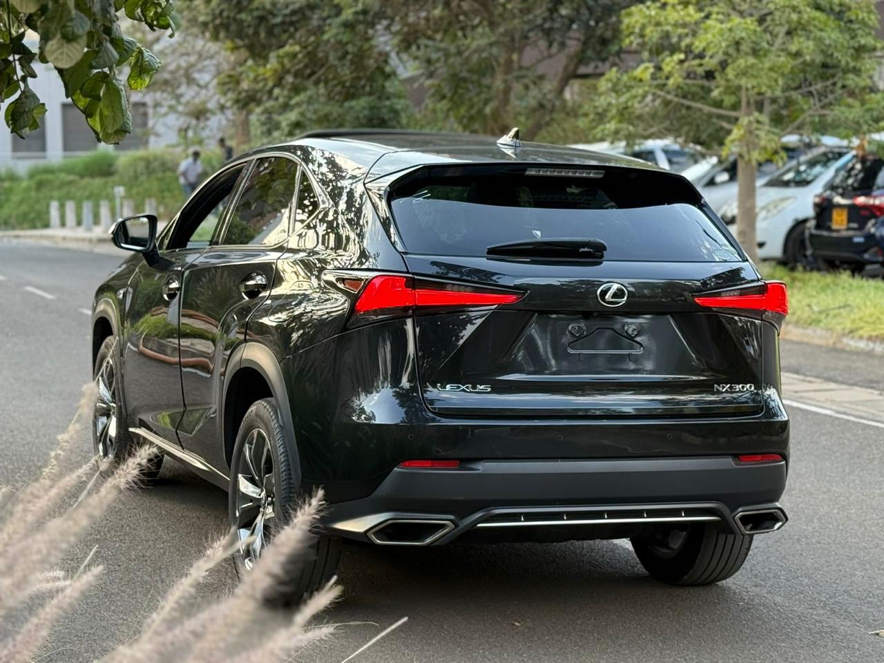 2018 LEXUS NX300 F-SPORT