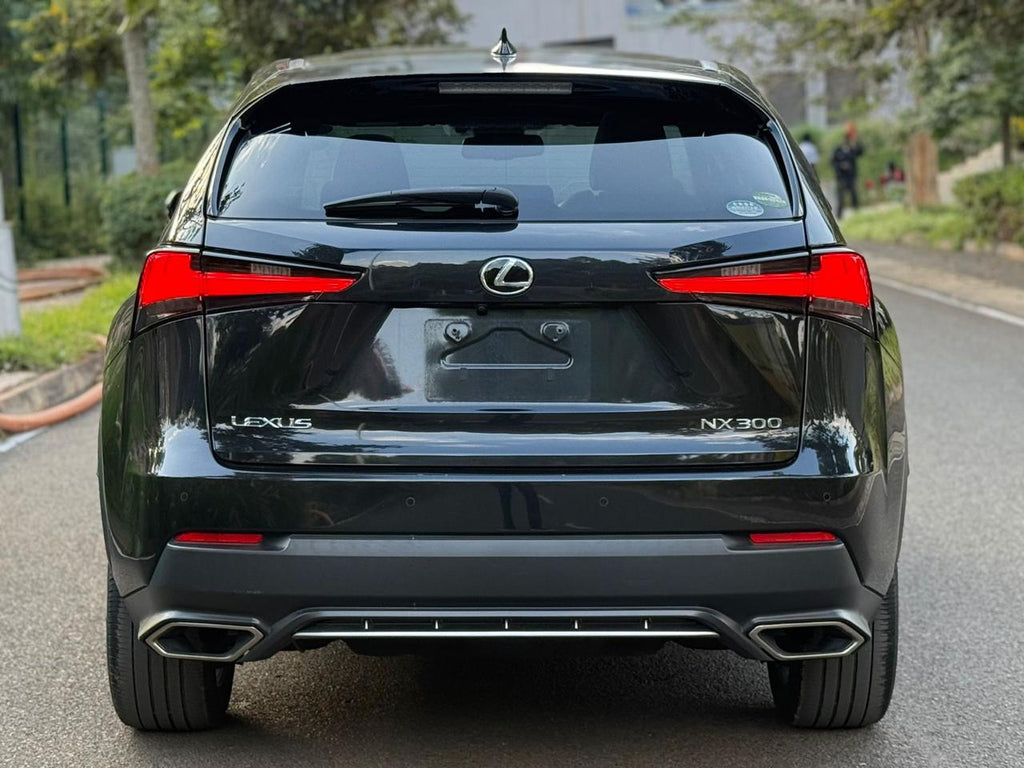 2018 LEXUS NX300 F-SPORT