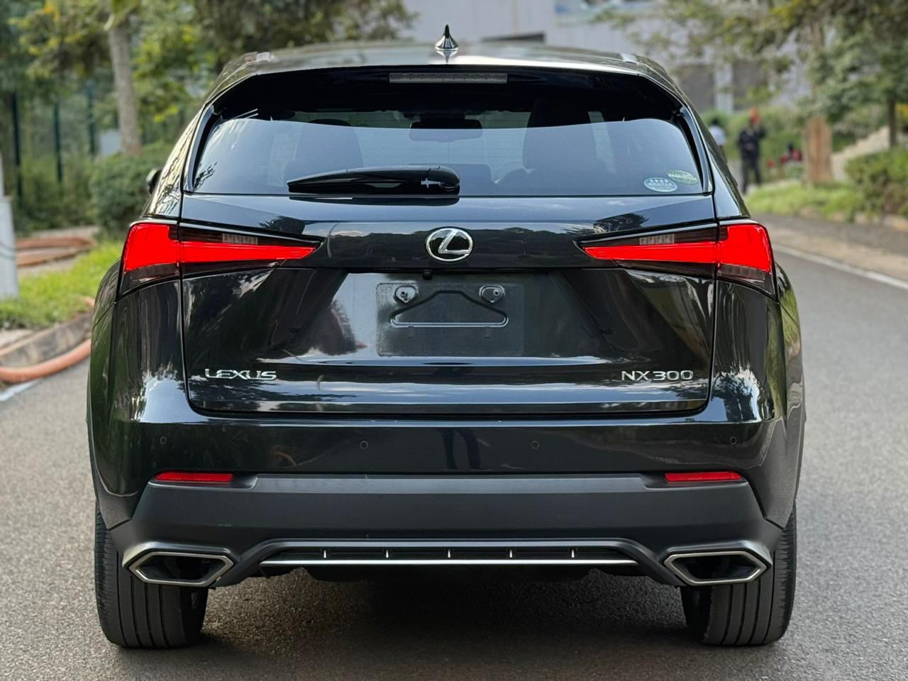 2018 LEXUS NX300 F-SPORT