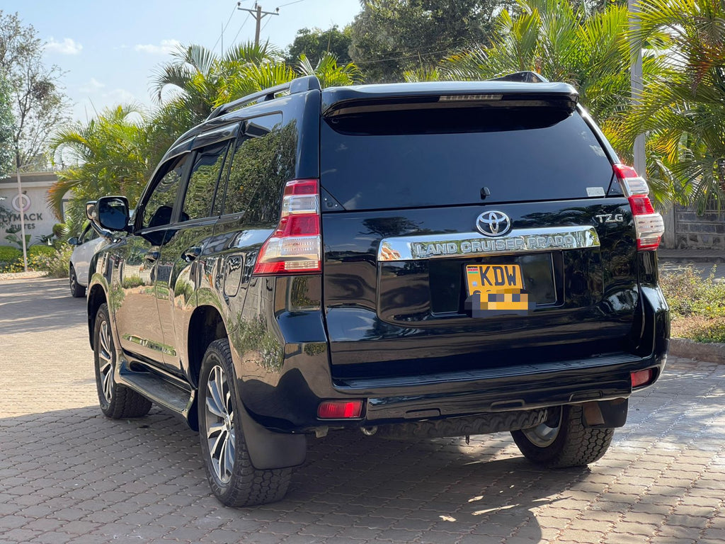 2009 TOYOTA PRADO TZG