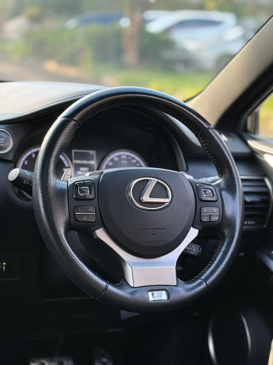 2018 LEXUS NX300 F-SPORT