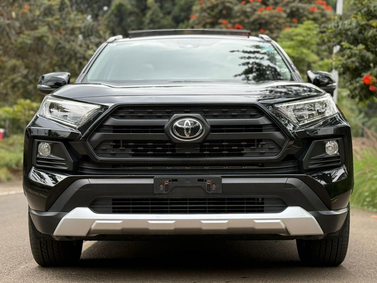 2019 TOYOTA RAV4 ADVENTURE