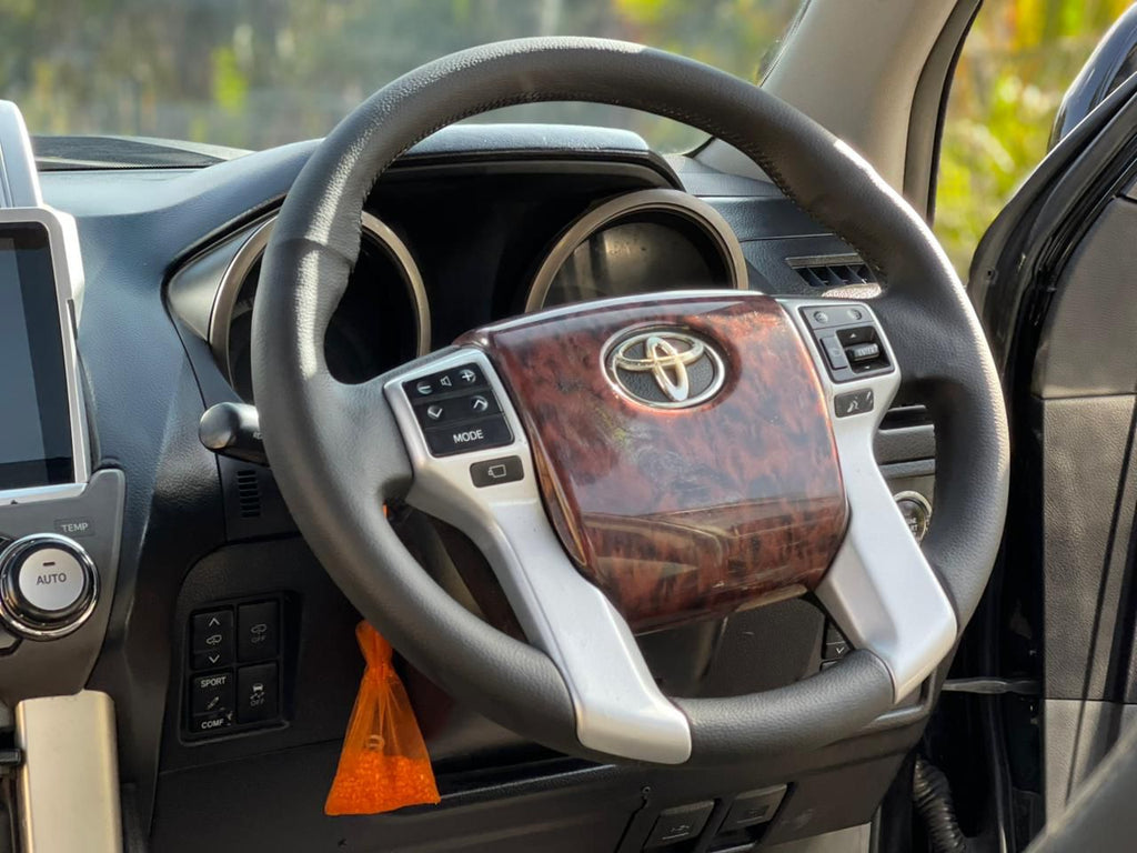 2009 TOYOTA PRADO TZG