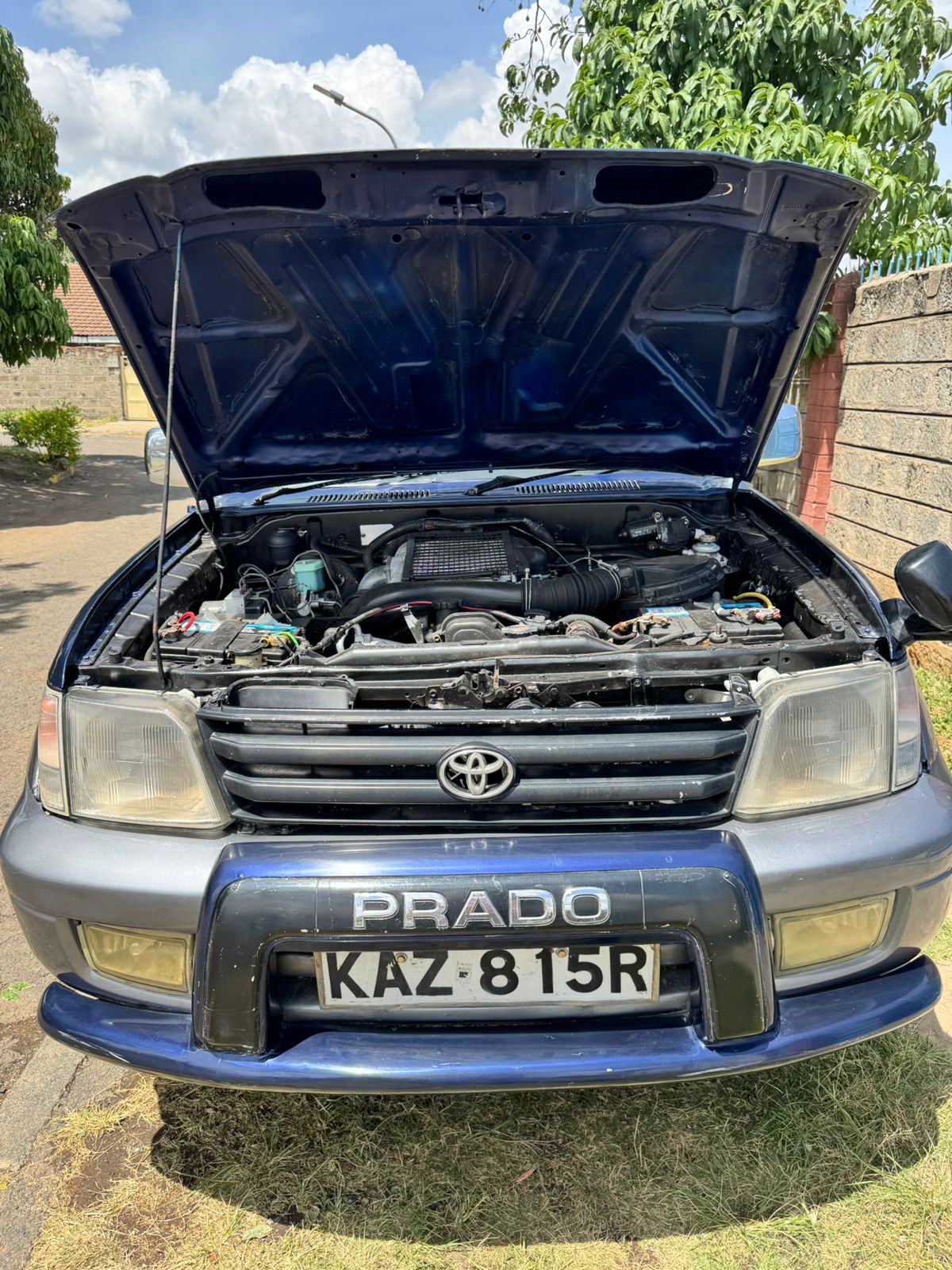 Toyota Prado J95