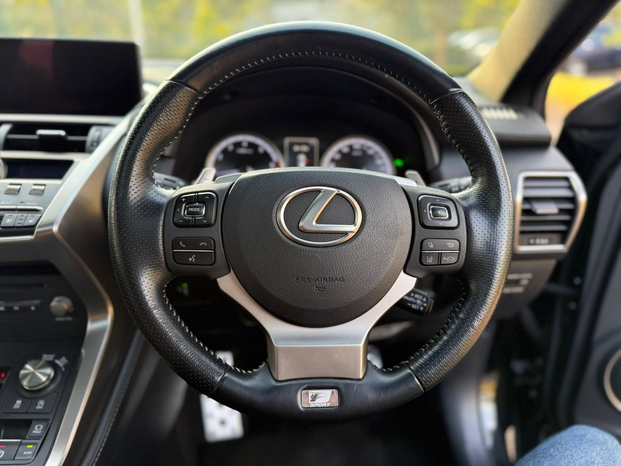 2018 LEXUS NX300 F-SPORT