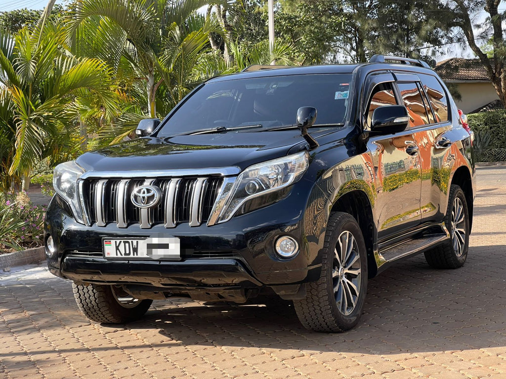 2009 TOYOTA PRADO TZG