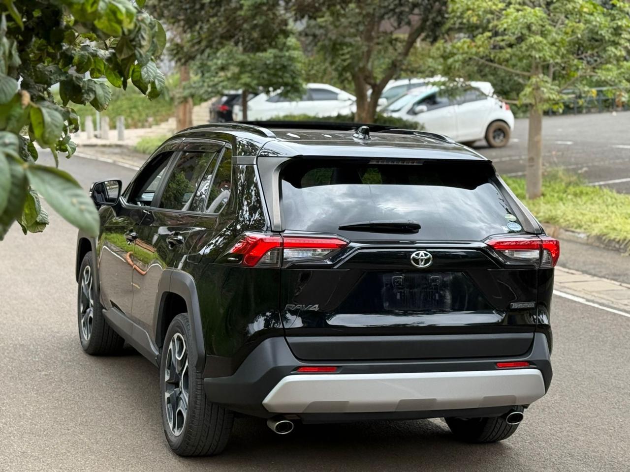 2019 TOYOTA RAV4 ADVENTURE