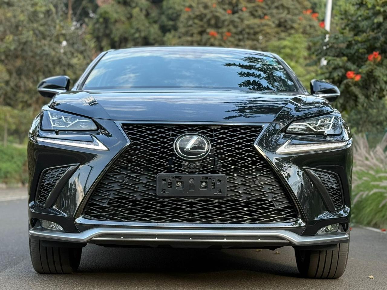 2018 LEXUS NX300 F-SPORT