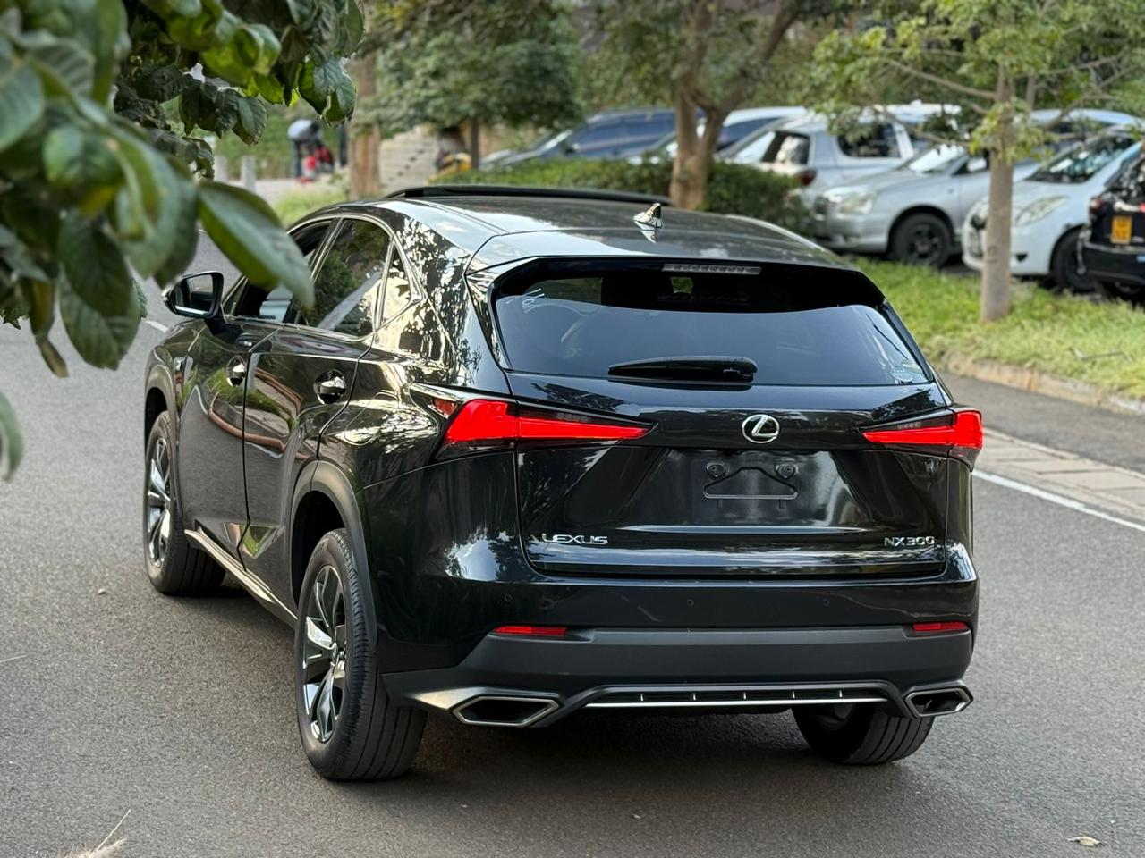 2018 LEXUS NX300 F-SPORT