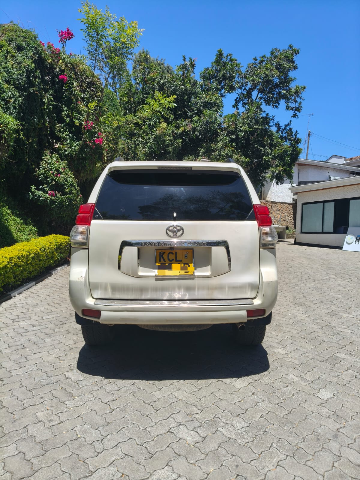 2010 TOYOTA PRADO