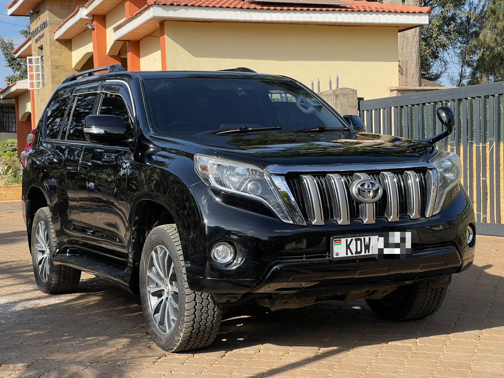 2009 TOYOTA PRADO TZG