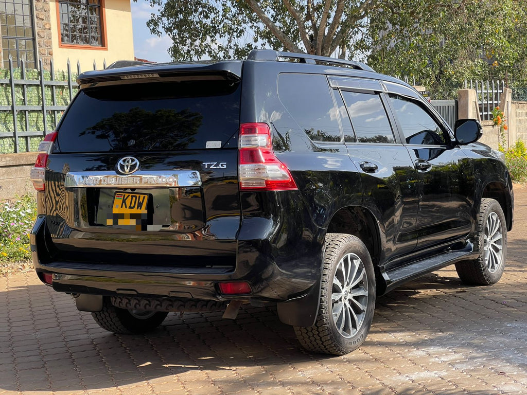 2009 TOYOTA PRADO TZG