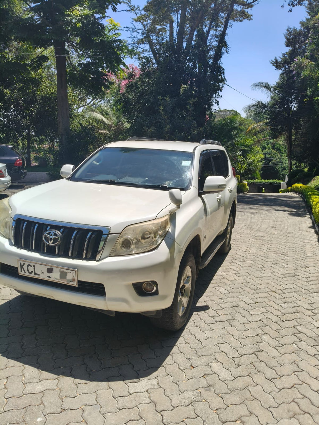2010 TOYOTA PRADO