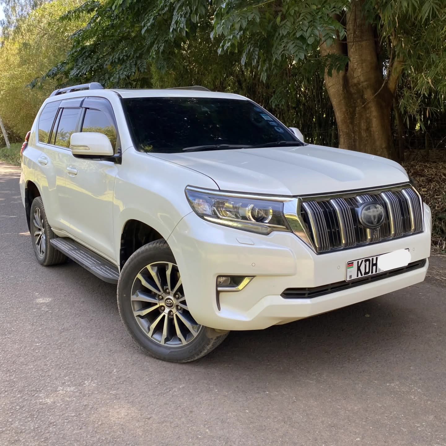 Toyota LandCruiser Prado TZG