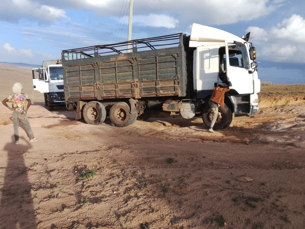 MAN prime mover
